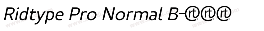 Ridtype Pro Normal B字体转换